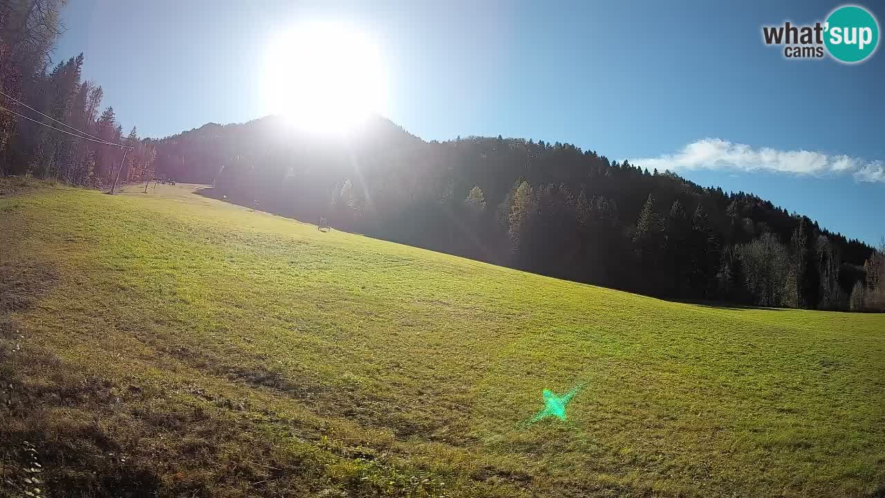 RTC Skigebiet Kranjska Gora | Brsnina