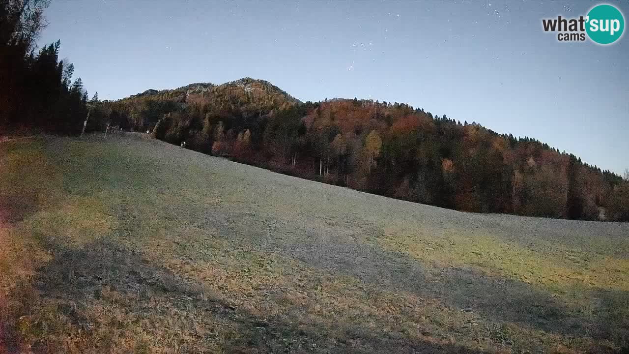 Ski Kranjska Gora | Brsnina