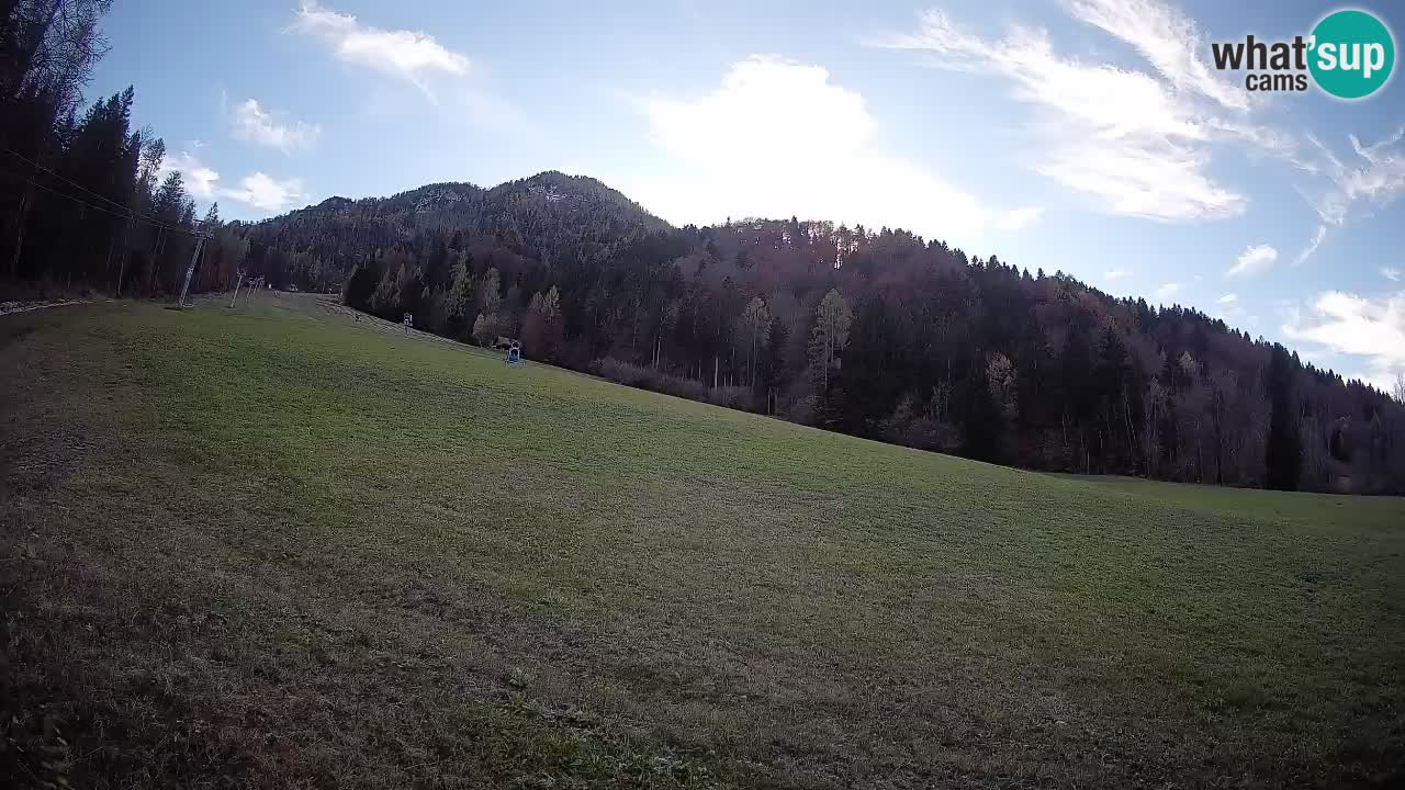 Comprensorio sciistico Kranjska Gora | Brsnina