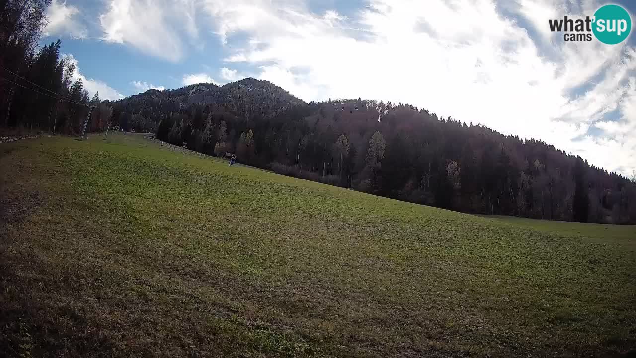Comprensorio sciistico Kranjska Gora | Brsnina