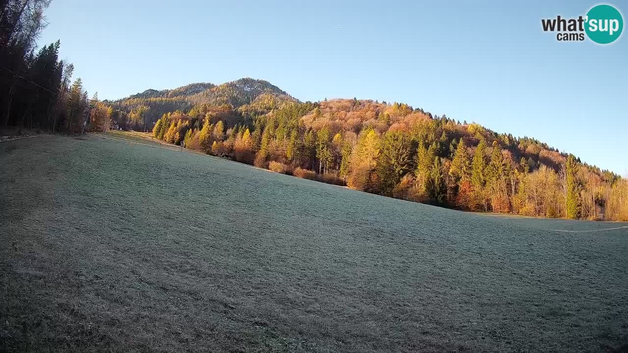 Ski Kranjska Gora | Brsnina