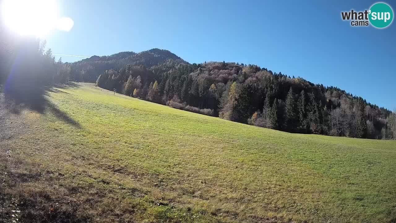 Kranjska Gora SKIJANJE | Brsnina