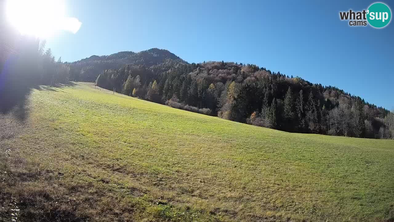 Ski Kranjska Gora | Brsnina