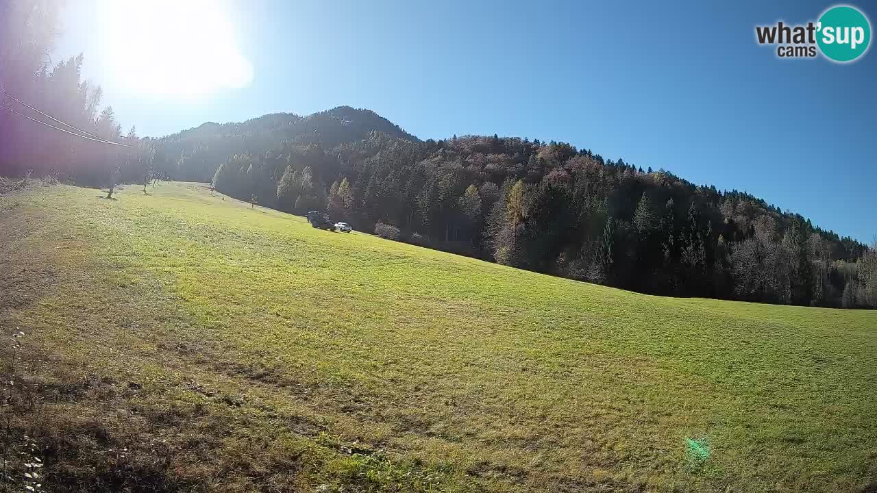 Ski Kranjska Gora | Brsnina