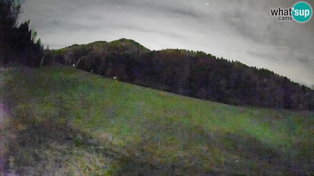 RTC Kranjska Gora | Brsnina