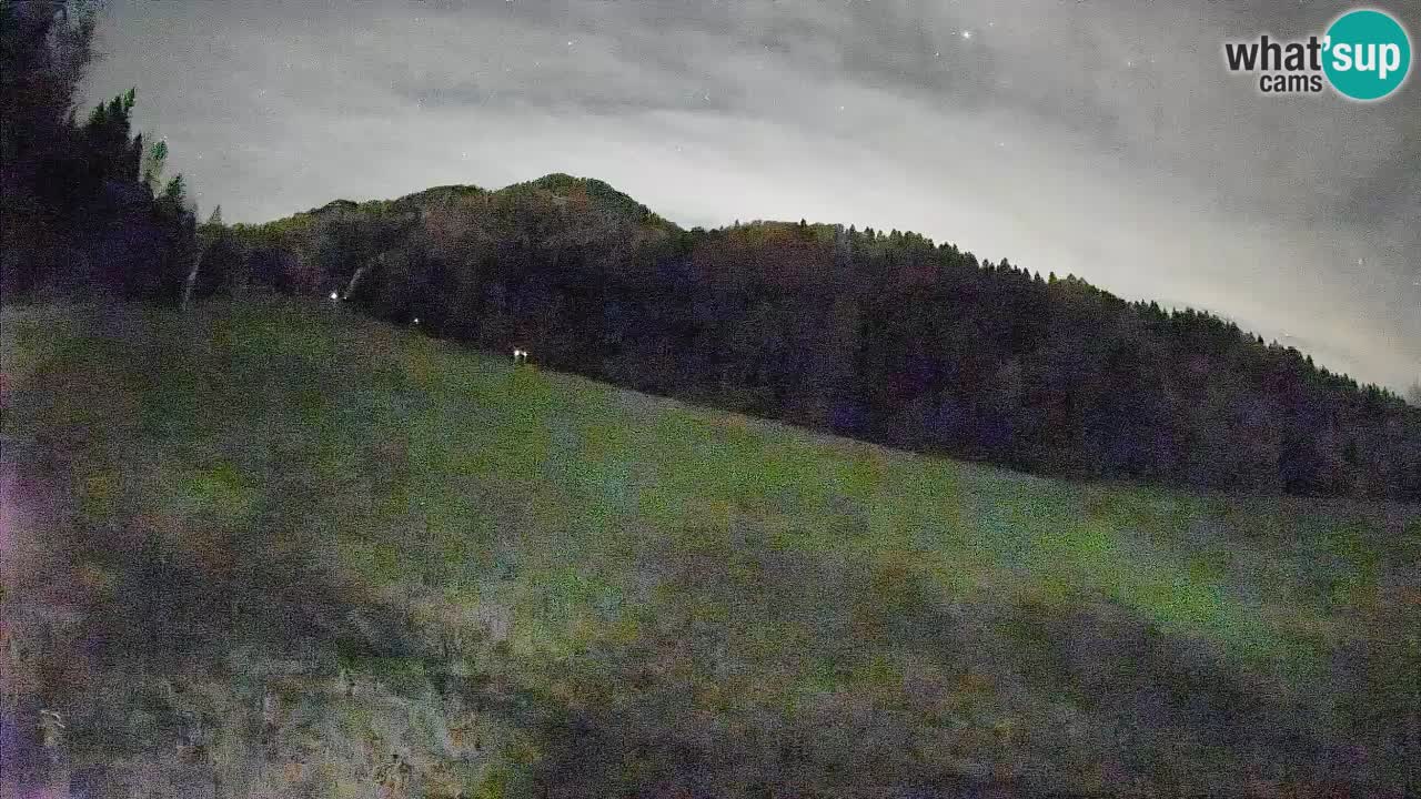 Esquí Kranjska Gora | Brsnina