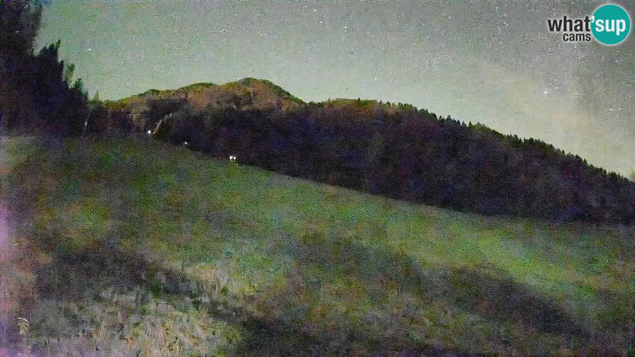 Kranjska Gora SKIJANJE | Brsnina