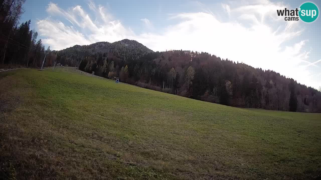 Comprensorio sciistico Kranjska Gora | Brsnina