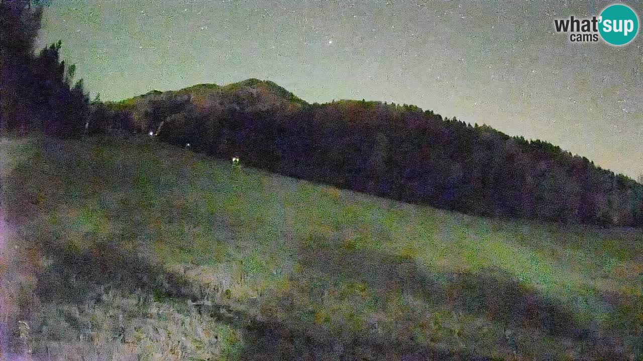 Comprensorio sciistico Kranjska Gora | Brsnina