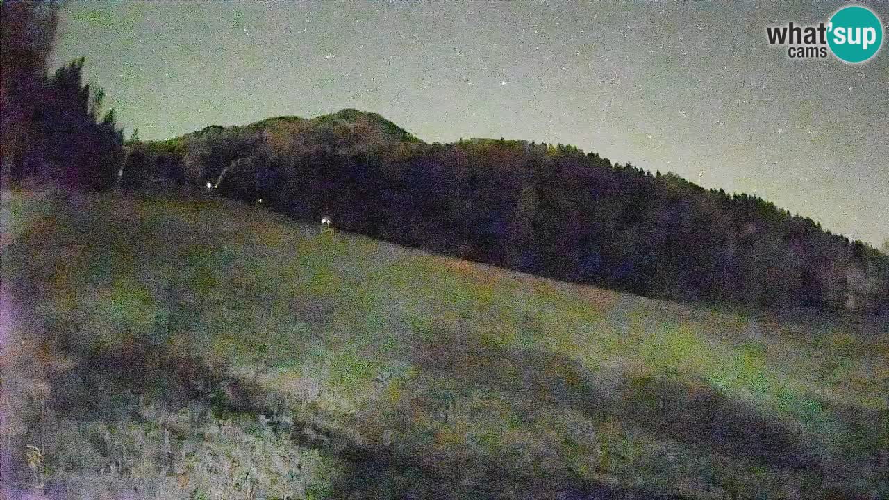 Comprensorio sciistico Kranjska Gora | Brsnina