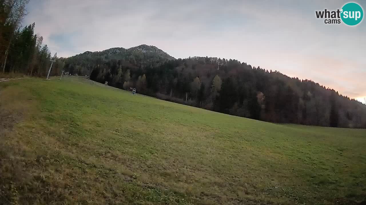 Comprensorio sciistico Kranjska Gora | Brsnina