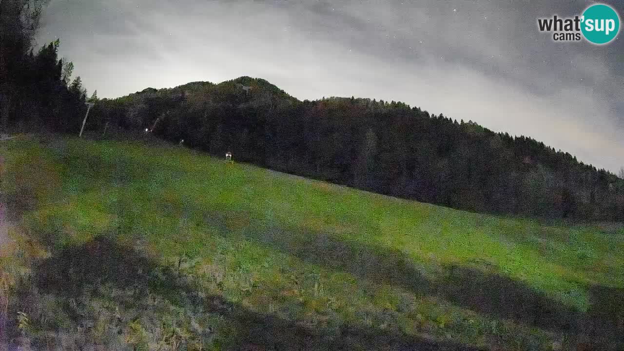 Kranjska Gora SKIJANJE | Brsnina