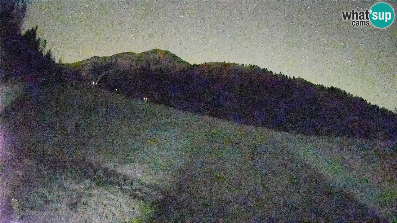 RTC Kranjska Gora | Brsnina