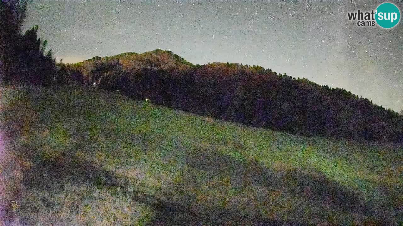 Kranjska Gora SKIJANJE | Brsnina