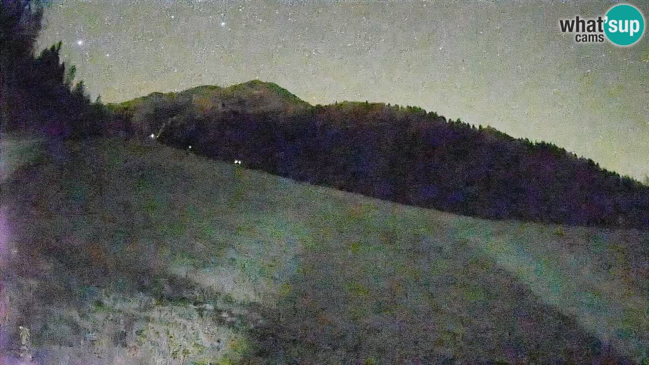 RTC Skigebiet Kranjska Gora | Brsnina