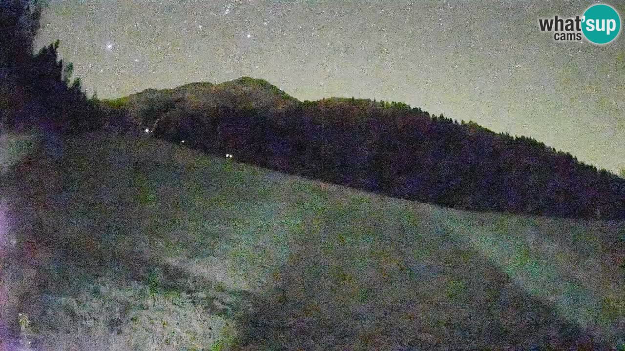 Ski Kranjska Gora | Brsnina