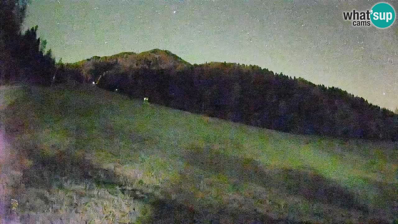 Comprensorio sciistico Kranjska Gora | Brsnina