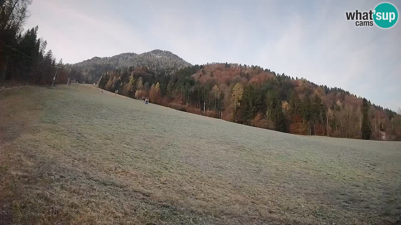 Ski Kranjska Gora | Brsnina