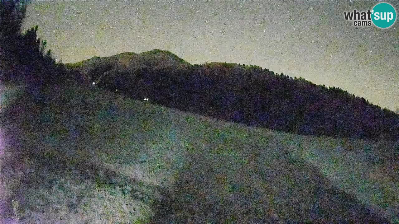 Kranjska Gora Station de ski | Brsnina