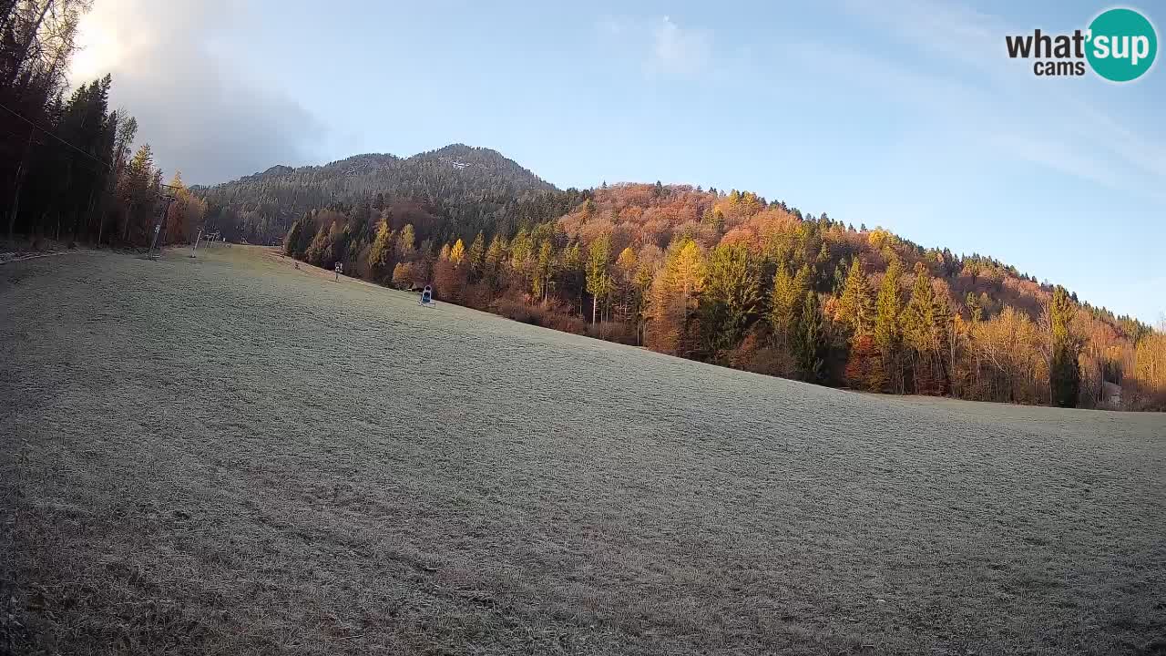 Esquí Kranjska Gora | Brsnina