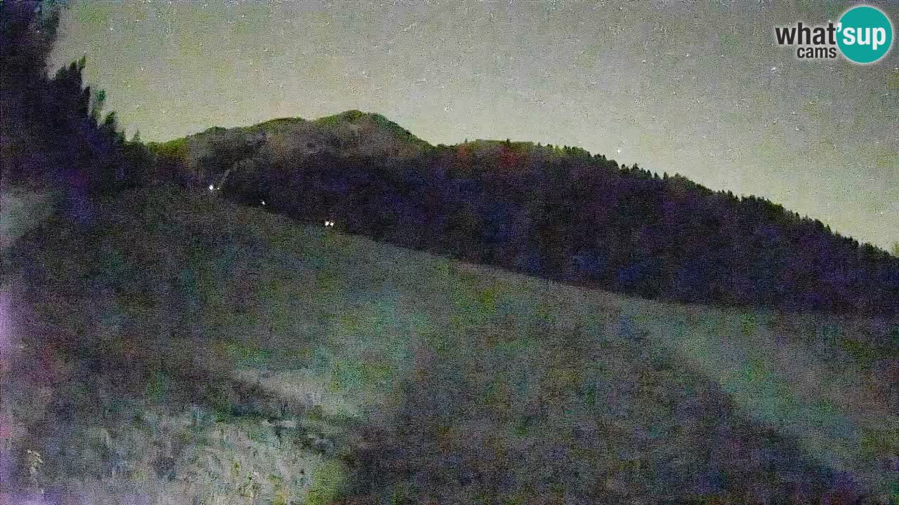 Esquí Kranjska Gora | Brsnina