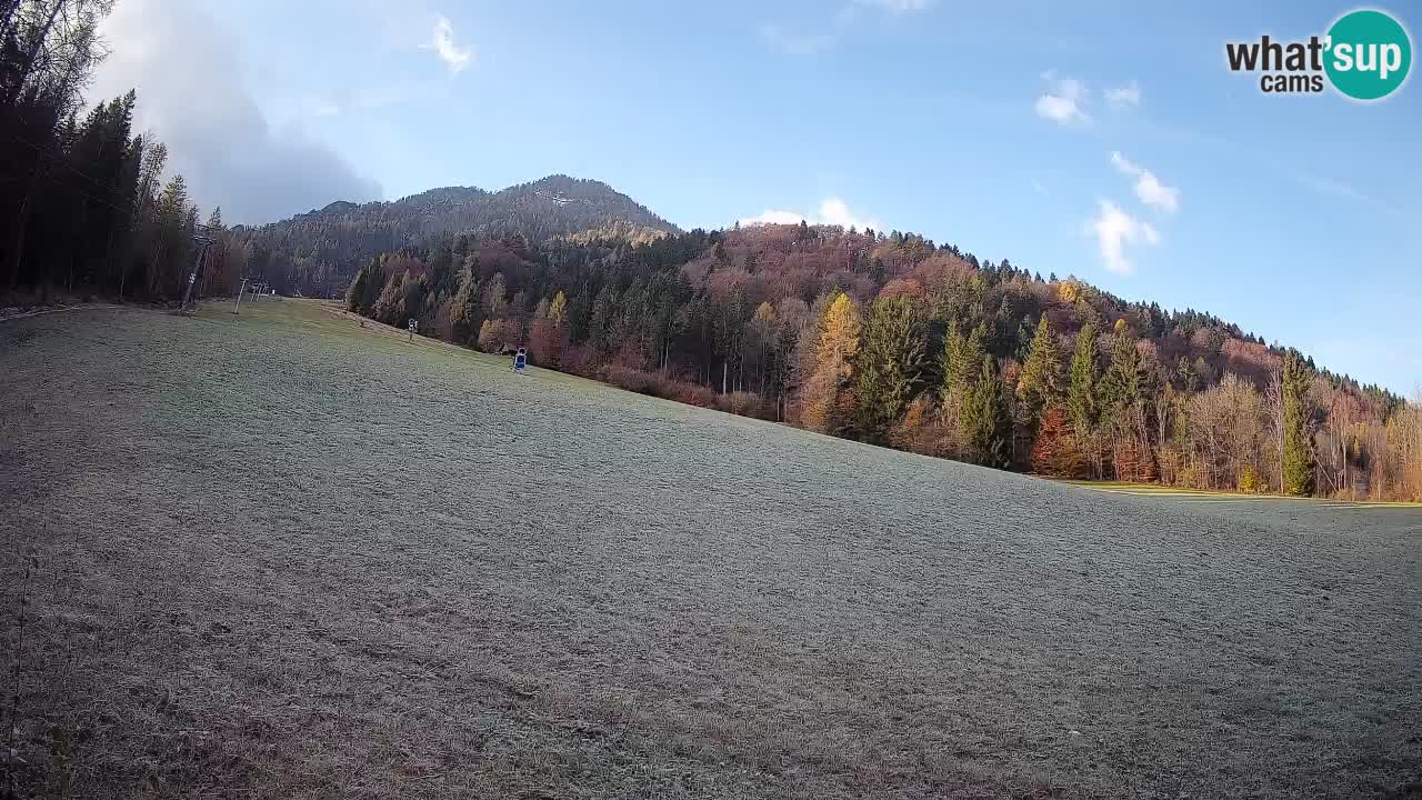 Ski Kranjska Gora | Brsnina