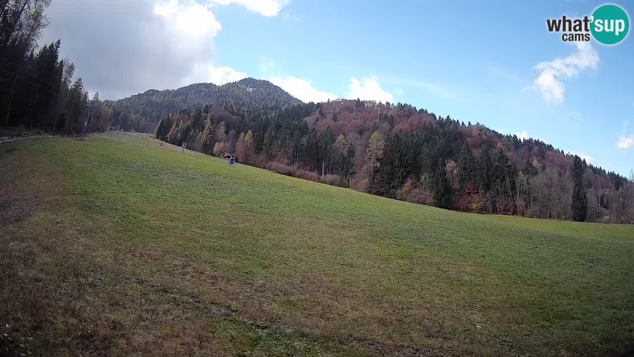 Comprensorio sciistico Kranjska Gora | Brsnina