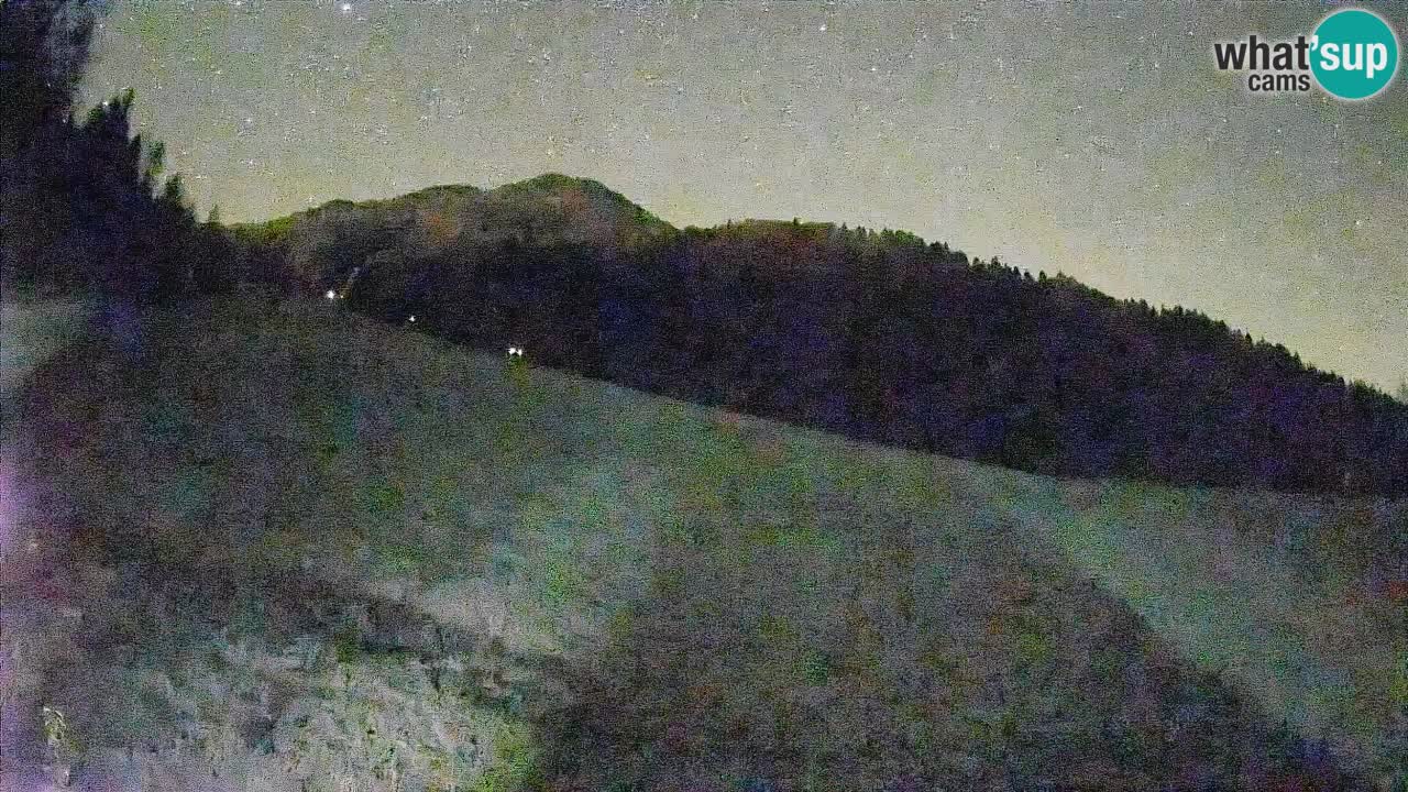 Kranjska Gora Station de ski | Brsnina