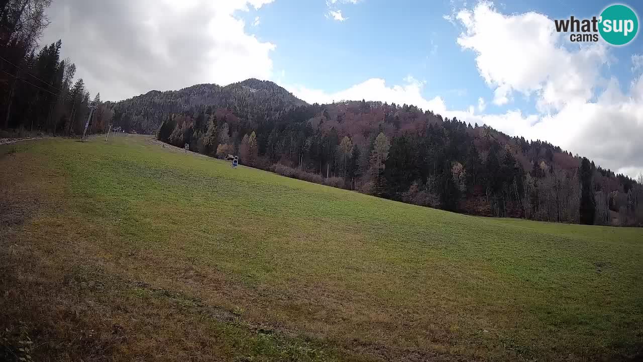 Esquí Kranjska Gora | Brsnina