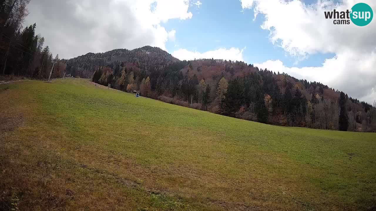 RTC Kranjska Gora | Brsnina