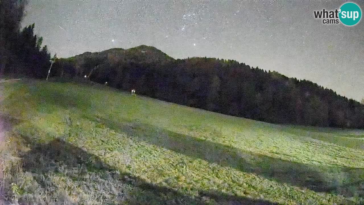 RTC Skigebiet Kranjska Gora | Brsnina