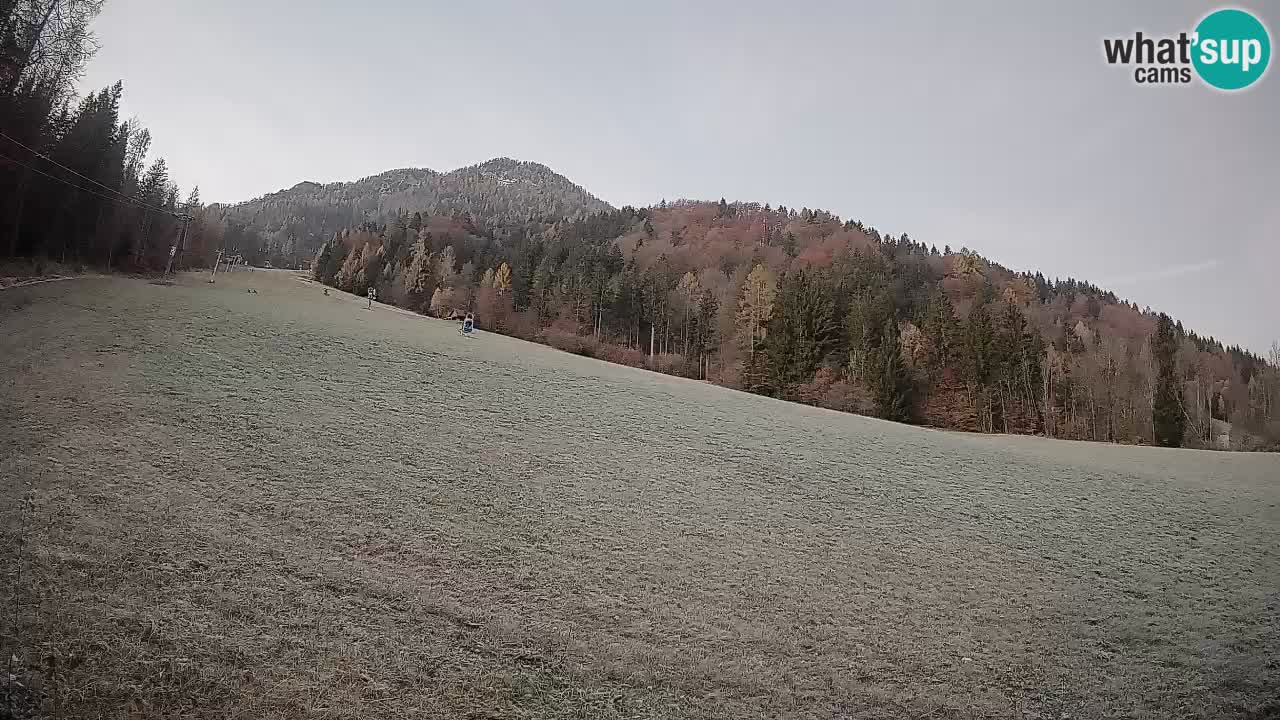 RTC Skigebiet Kranjska Gora | Brsnina
