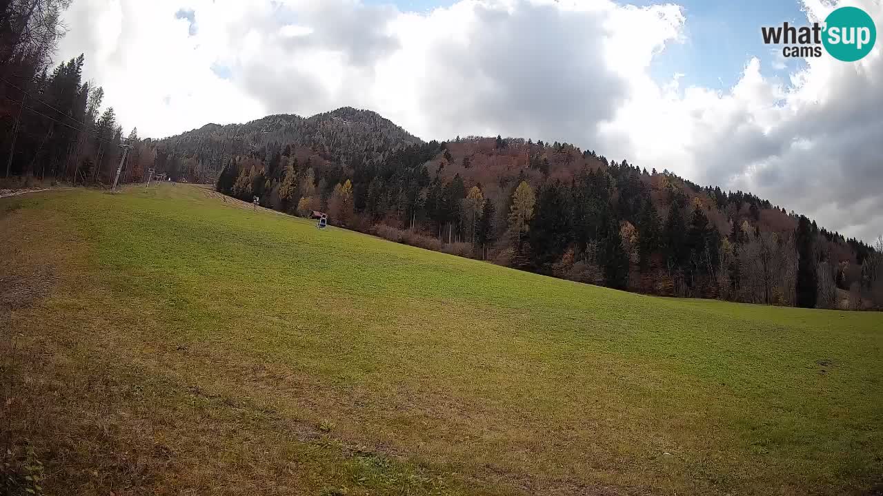 RTC Skigebiet Kranjska Gora | Brsnina