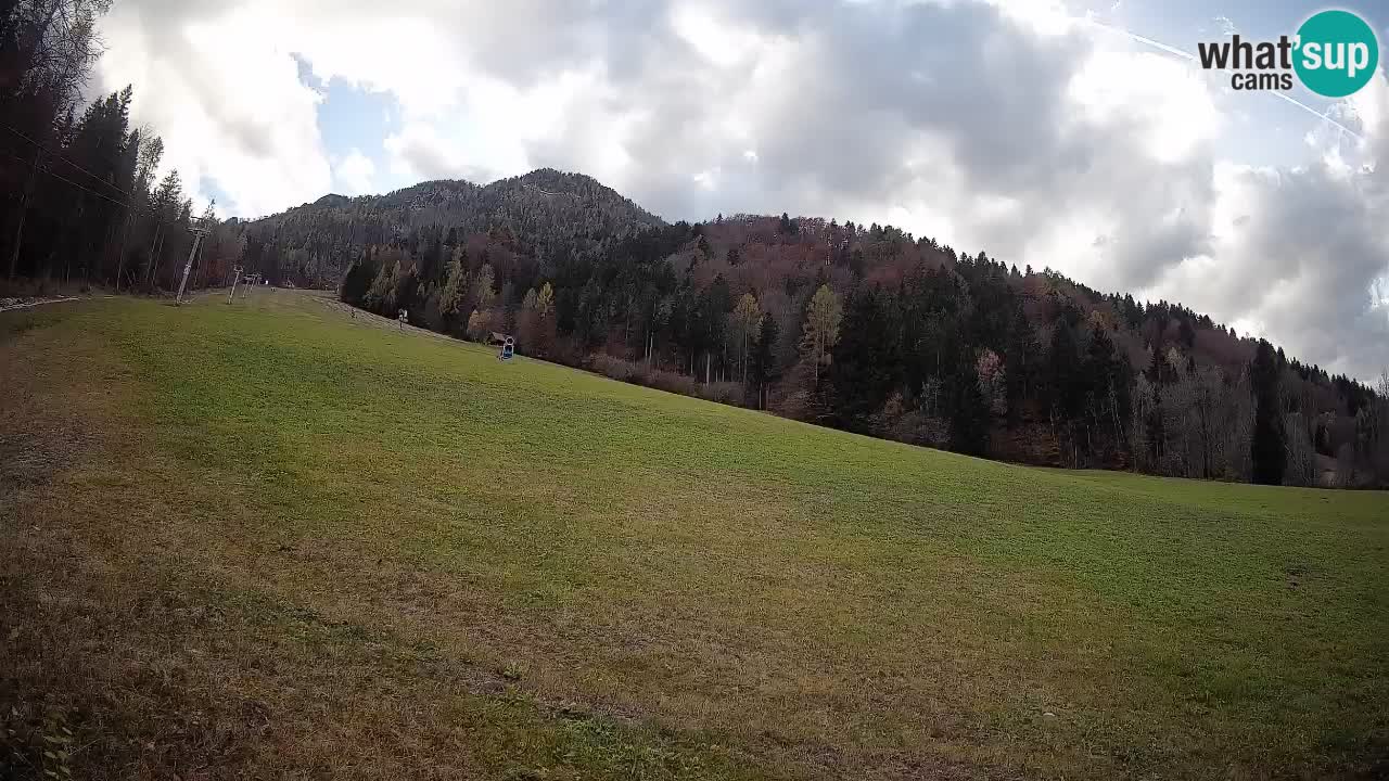 Ski Kranjska Gora | Brsnina