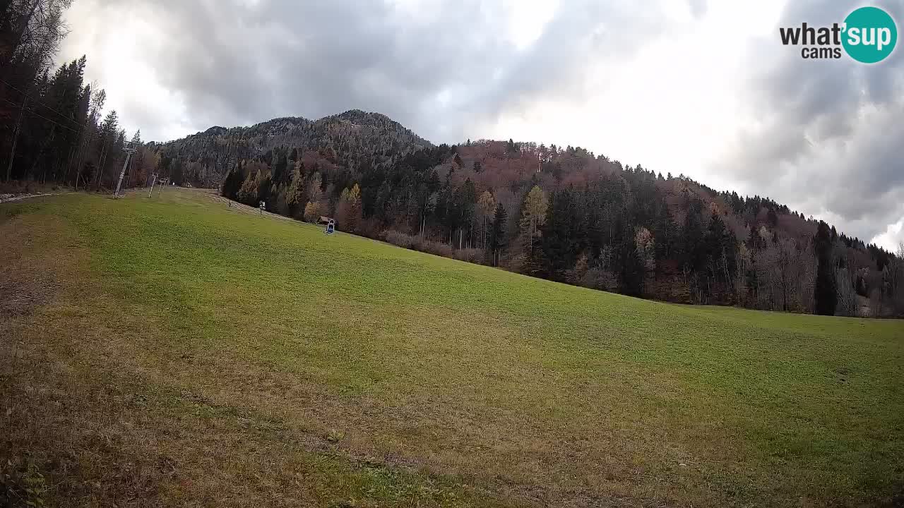 Kranjska Gora SKIJANJE | Brsnina