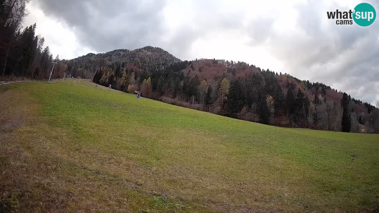 Ski Kranjska Gora | Brsnina