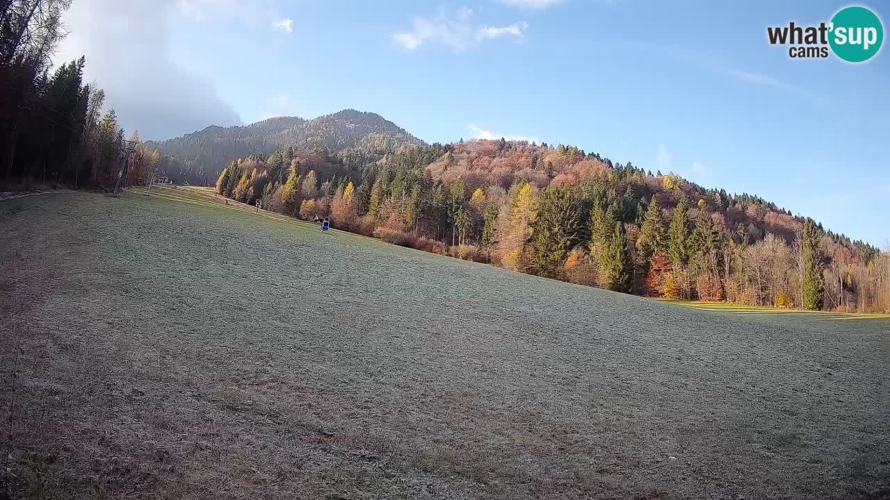 Comprensorio sciistico Kranjska Gora | Brsnina