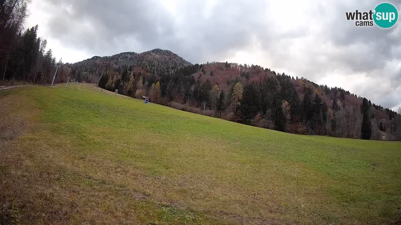 RTC Skigebiet Kranjska Gora | Brsnina