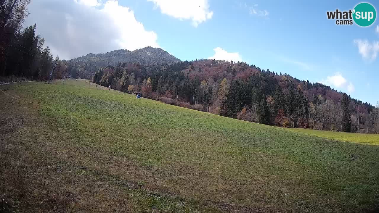 Ski Kranjska Gora | Brsnina