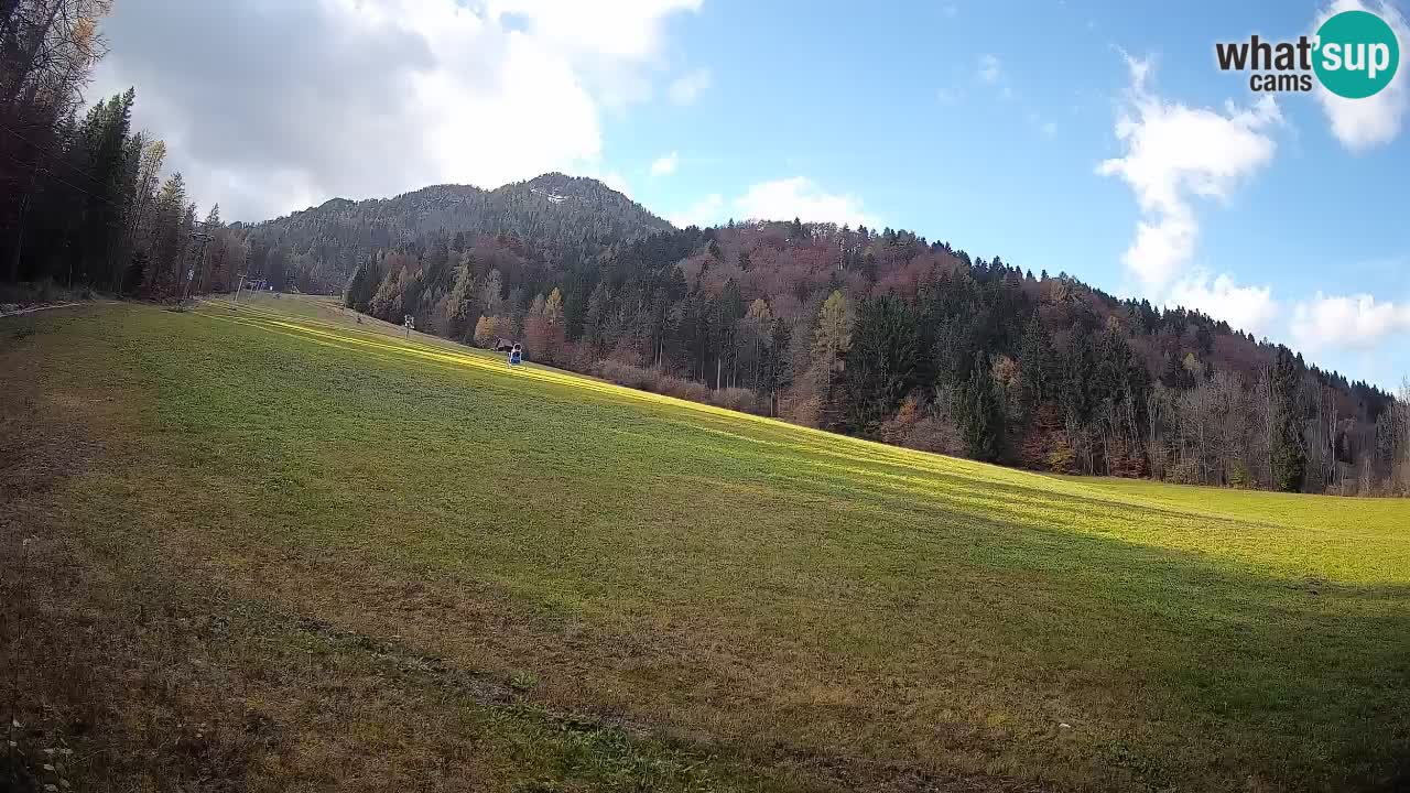 Kranjska Gora Station de ski | Brsnina