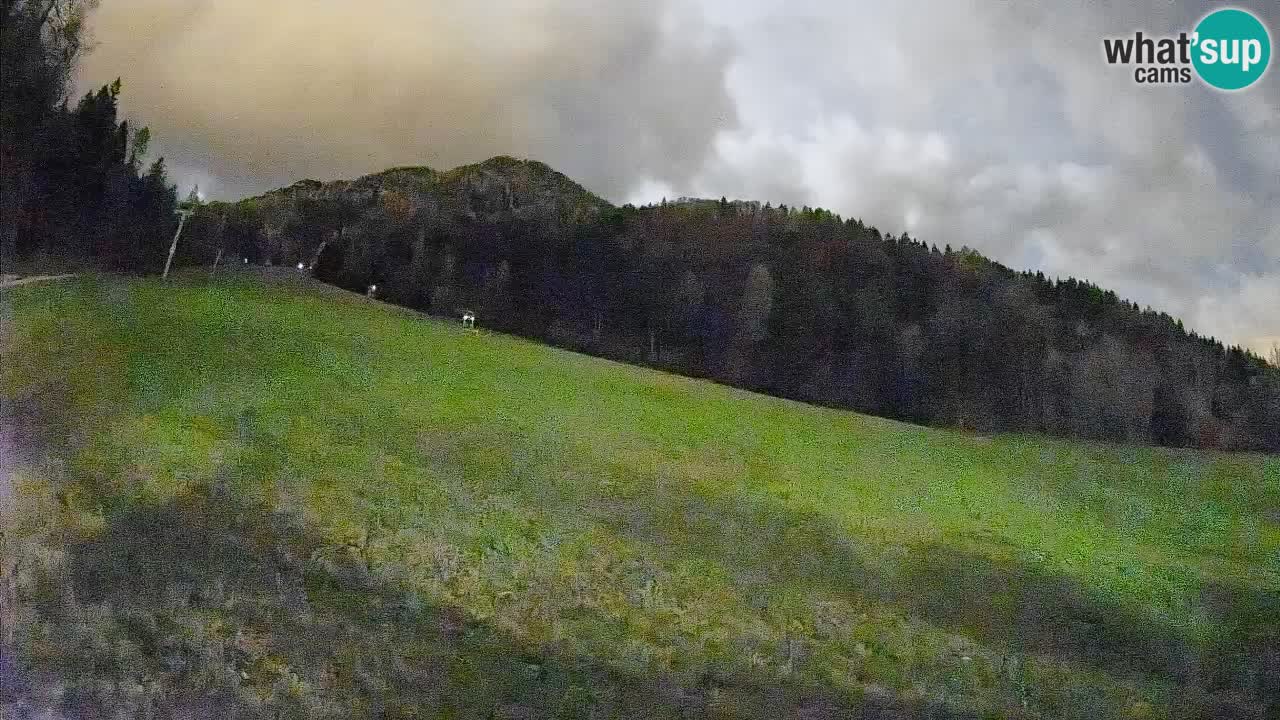 Kranjska Gora SKIJANJE | Brsnina