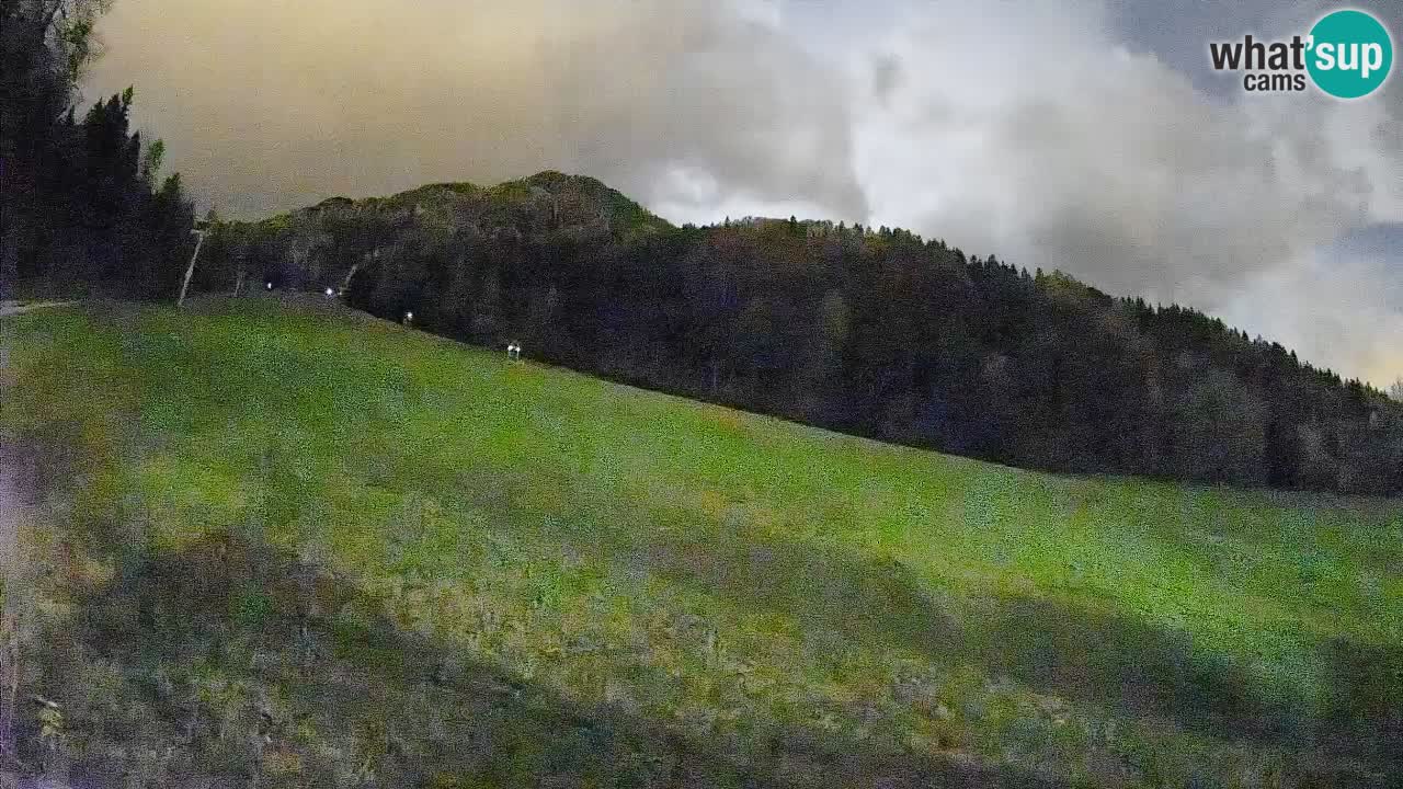 Kranjska Gora Station de ski | Brsnina