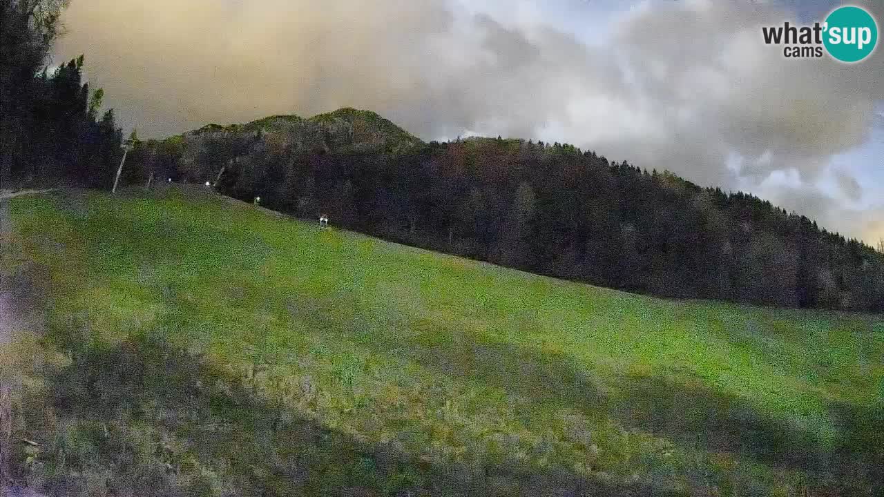 Kranjska Gora Station de ski | Brsnina