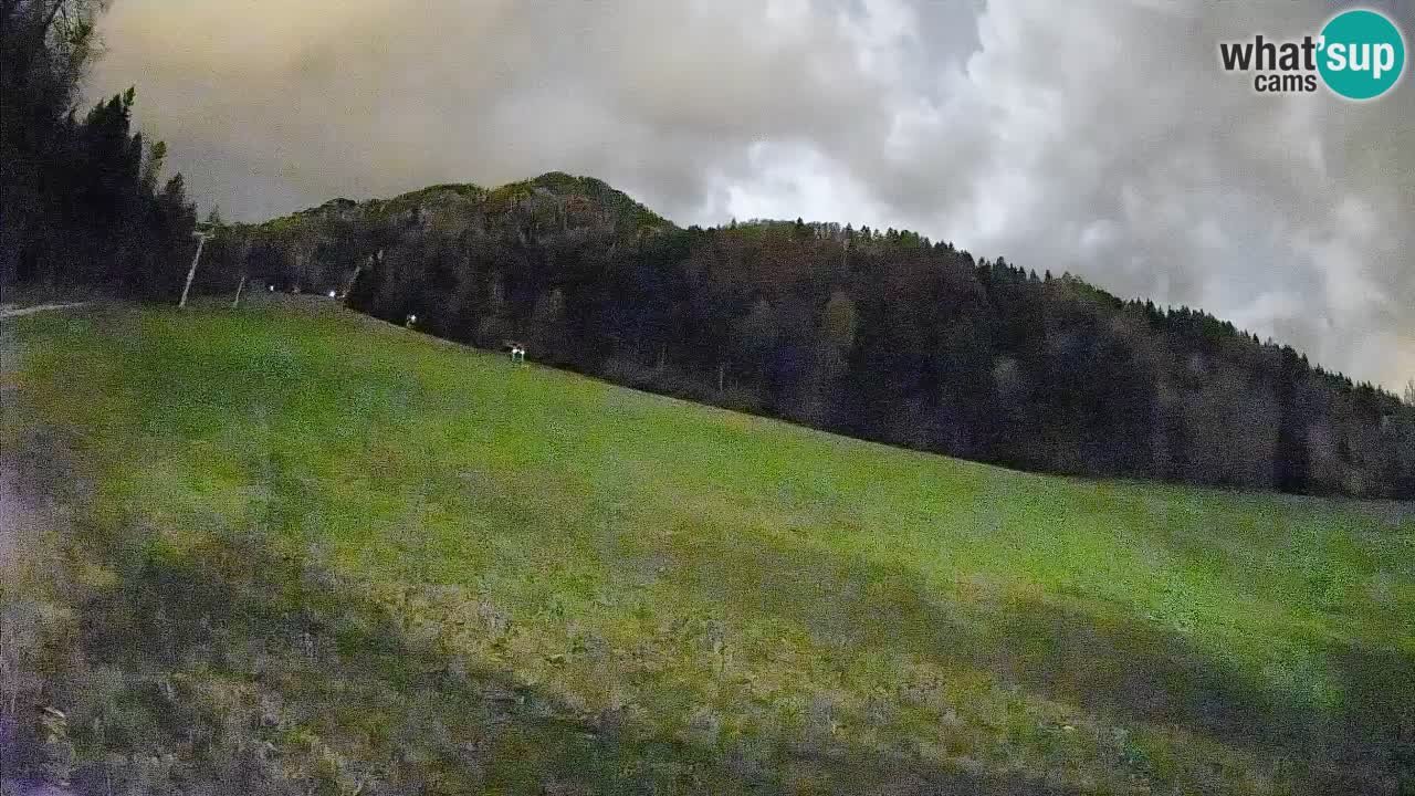 Ski Kranjska Gora | Brsnina