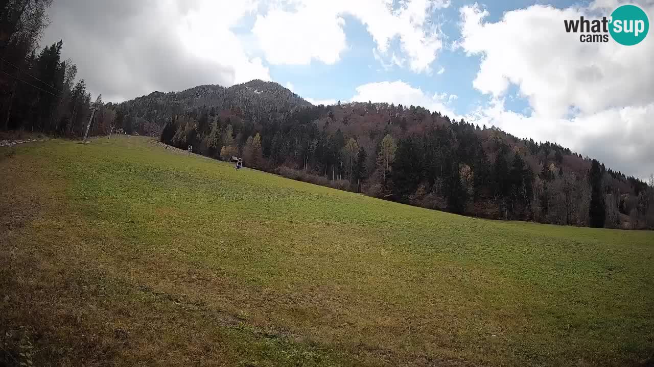 RTC Skigebiet Kranjska Gora | Brsnina