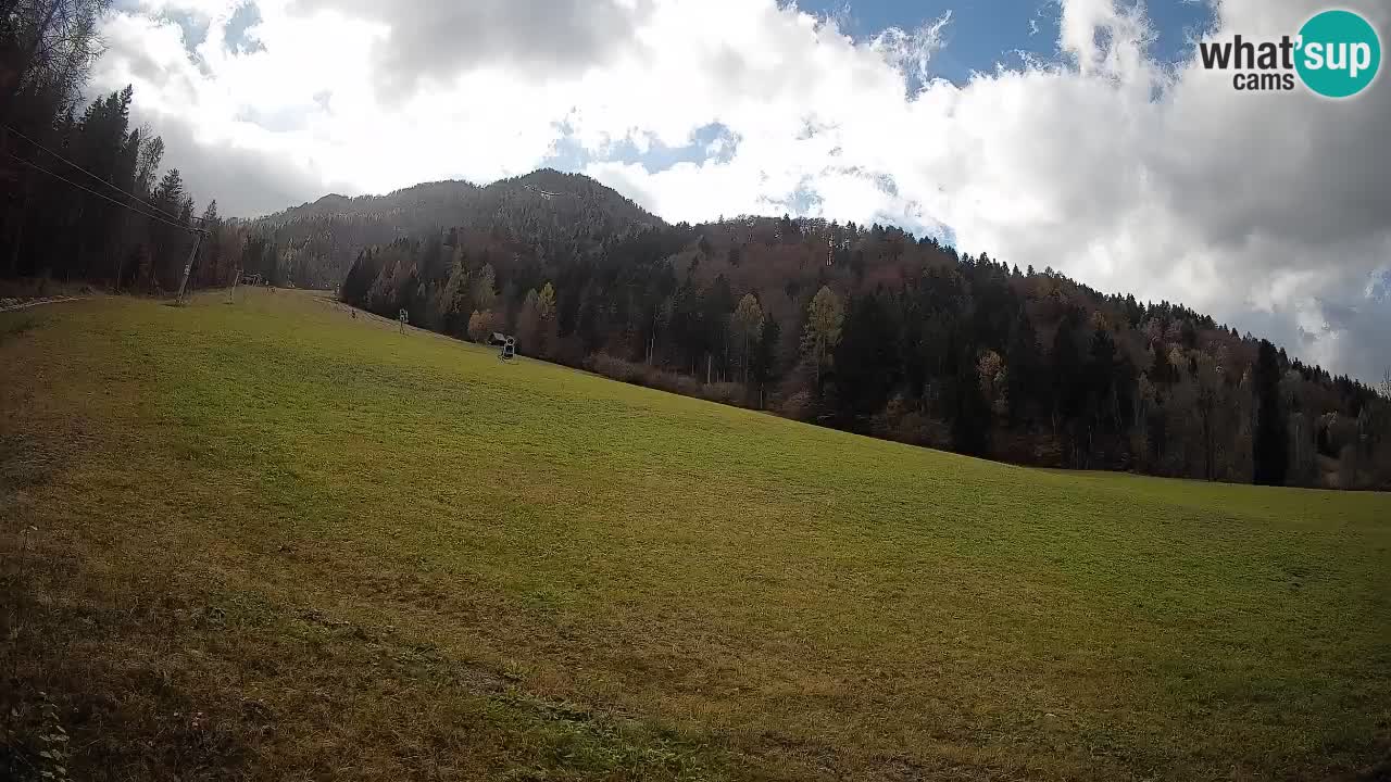 Kranjska Gora Station de ski | Brsnina