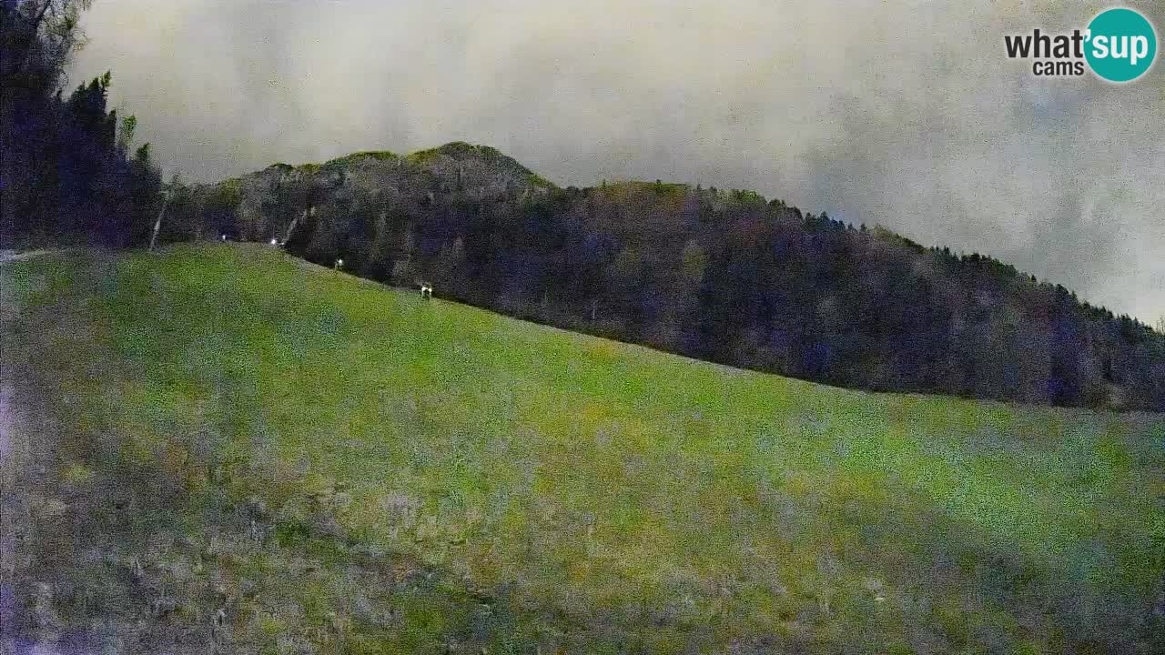 RTC Skigebiet Kranjska Gora | Brsnina