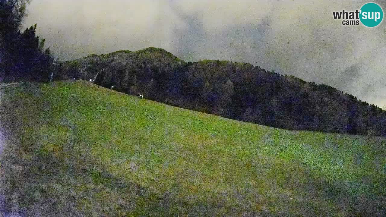 Ski Kranjska Gora | Brsnina