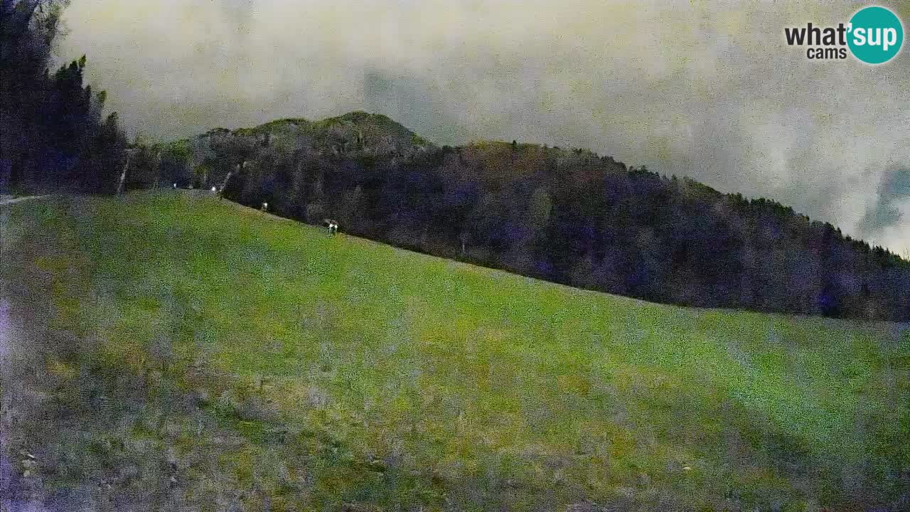 Ski Kranjska Gora | Brsnina