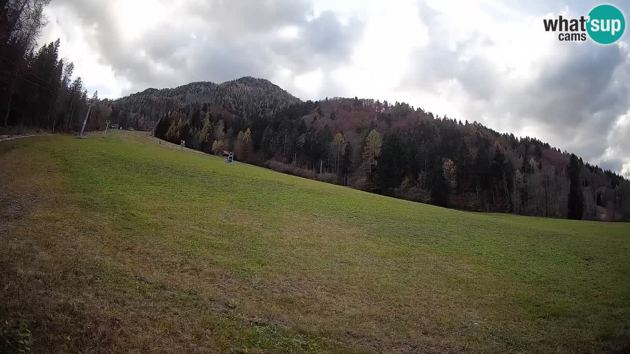 RTC Skigebiet Kranjska Gora | Brsnina